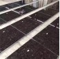Angola brown granite